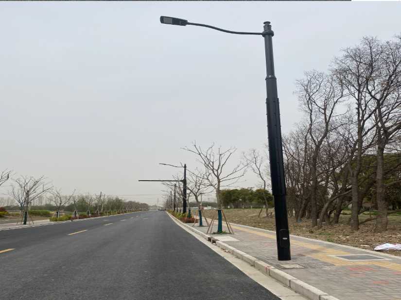 临泉县上海综合杆 太阳能路灯工程